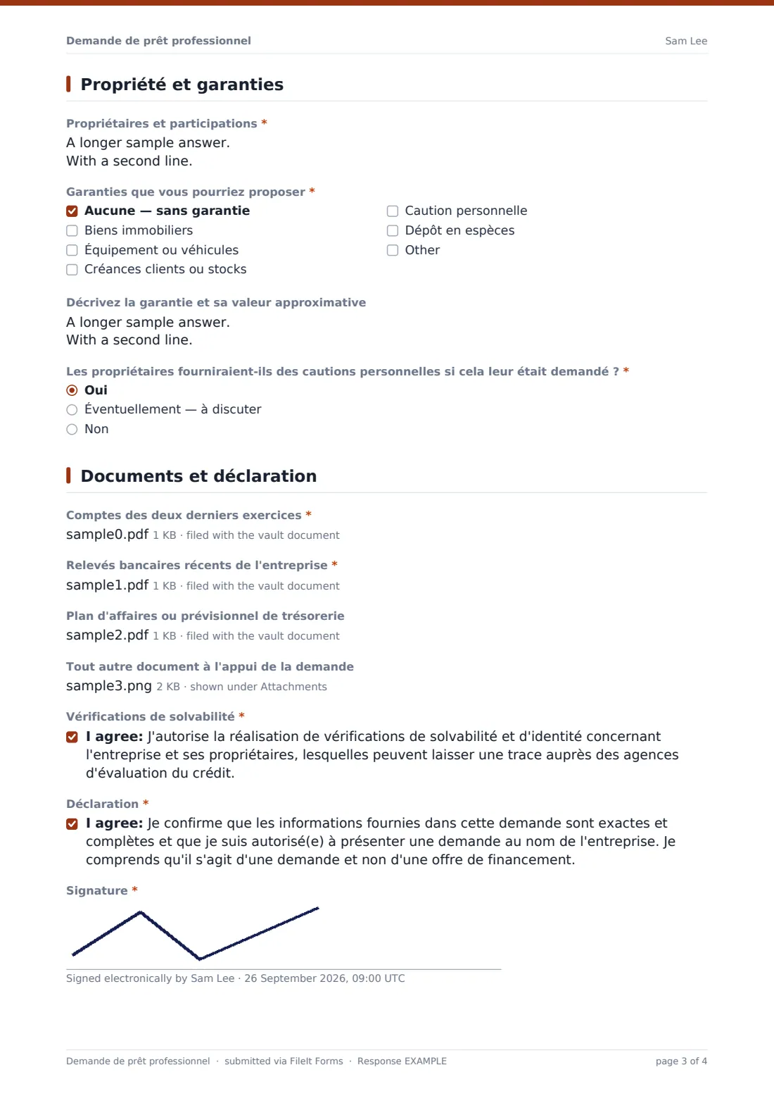 Demande de prêt professionnel — exemple de réponse au format PDF, page 3 sur 4
