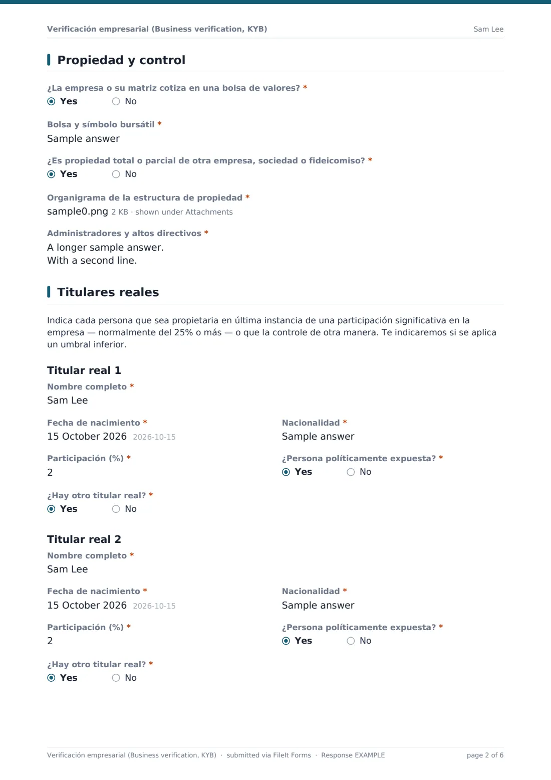 Verificación empresarial (Business verification, KYB) — PDF de respuesta de ejemplo, página 2 de 6