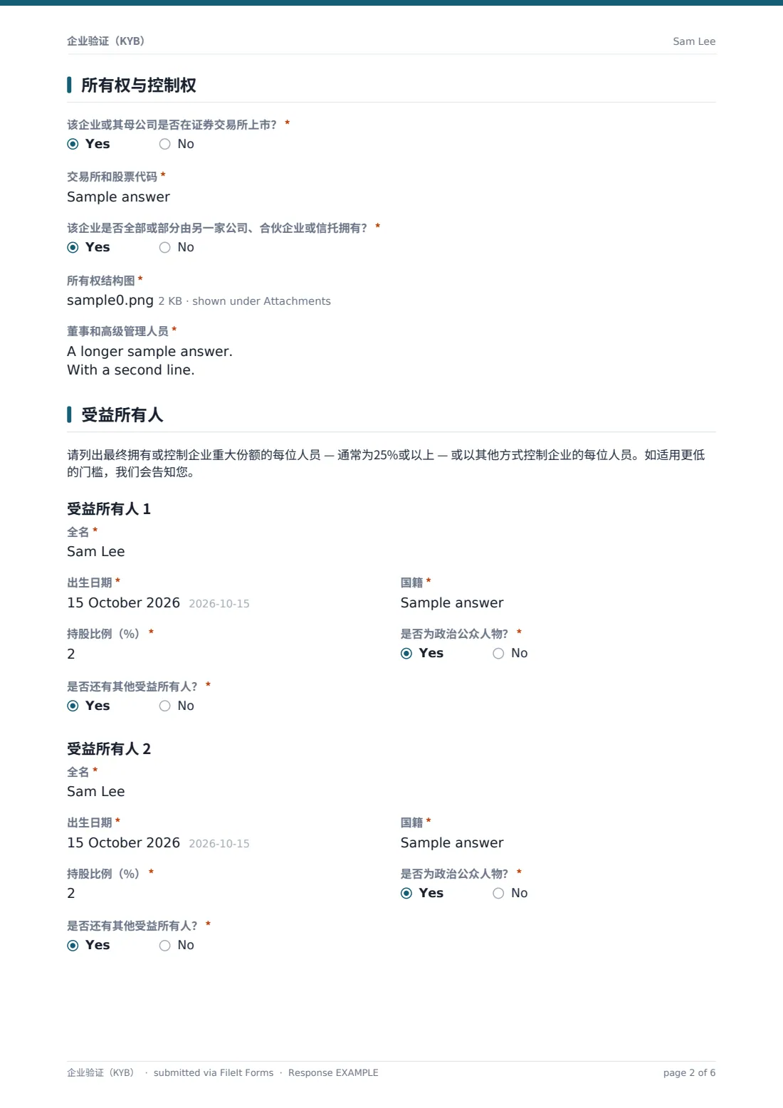 企业验证（KYB） — 示例回复 PDF，第 2 页，共 6 页