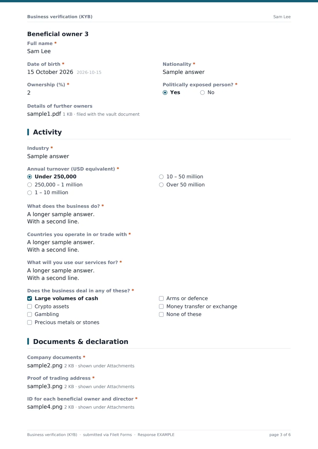 Business verification (KYB) — example response PDF, page 3 of 6