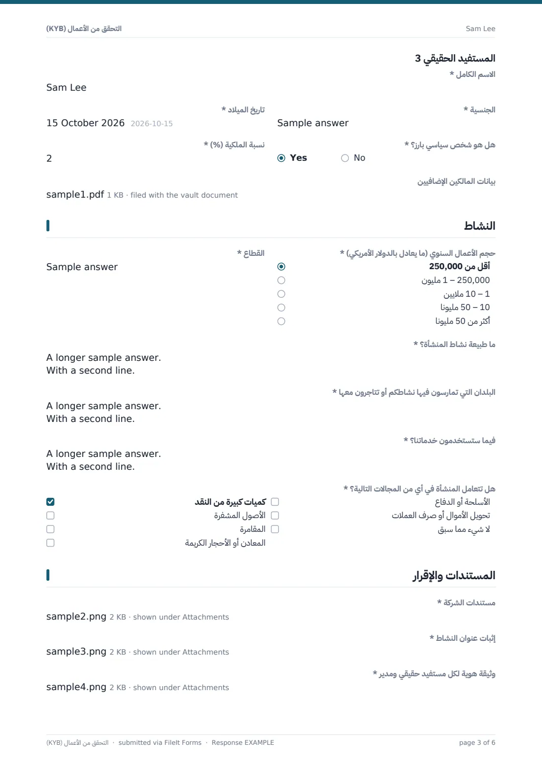 التحقق من الأعمال (KYB) — ملف PDF لرد نموذجي، الصفحة 3 من 6