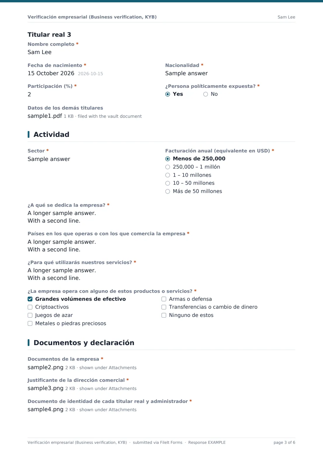 Verificación empresarial (Business verification, KYB) — PDF de respuesta de ejemplo, página 3 de 6