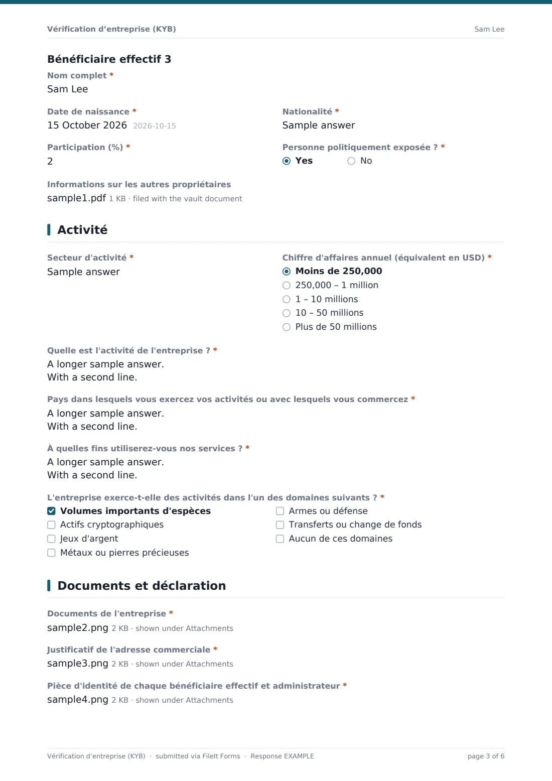 Vérification d’entreprise (KYB) — exemple de réponse au format PDF, page 3 sur 6