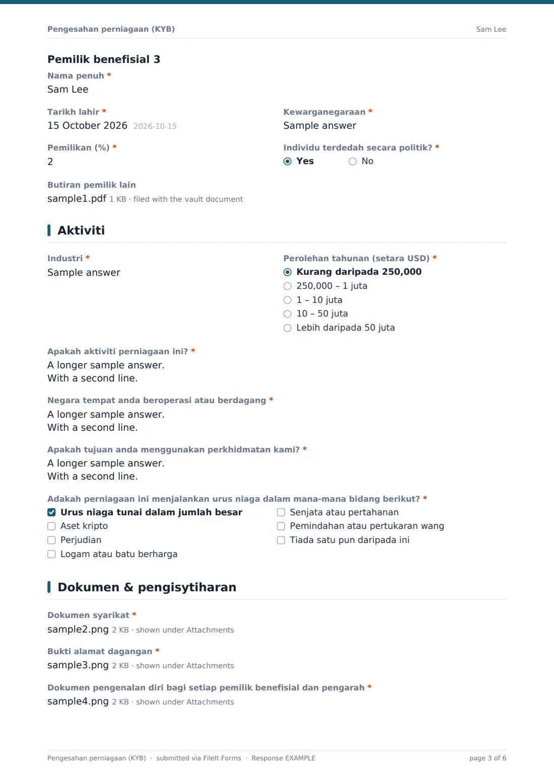 Pengesahan perniagaan (KYB) — PDF respons contoh, halaman 3 daripada 6
