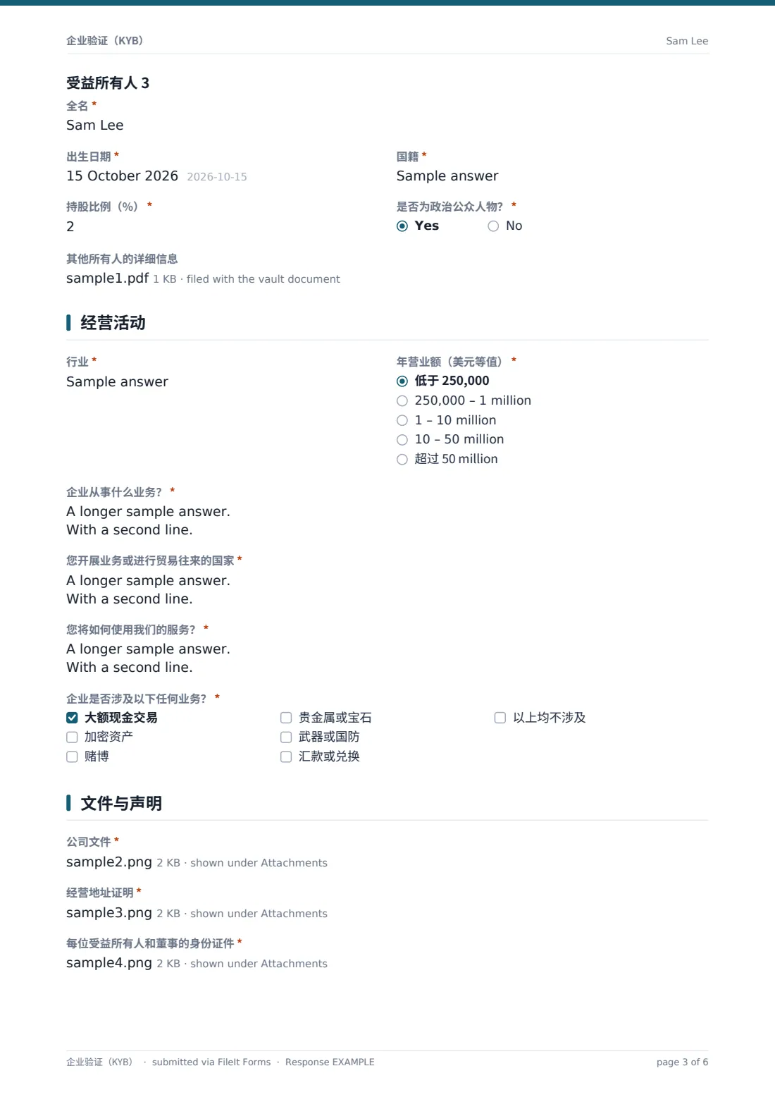 企业验证（KYB） — 示例回复 PDF，第 3 页，共 6 页
