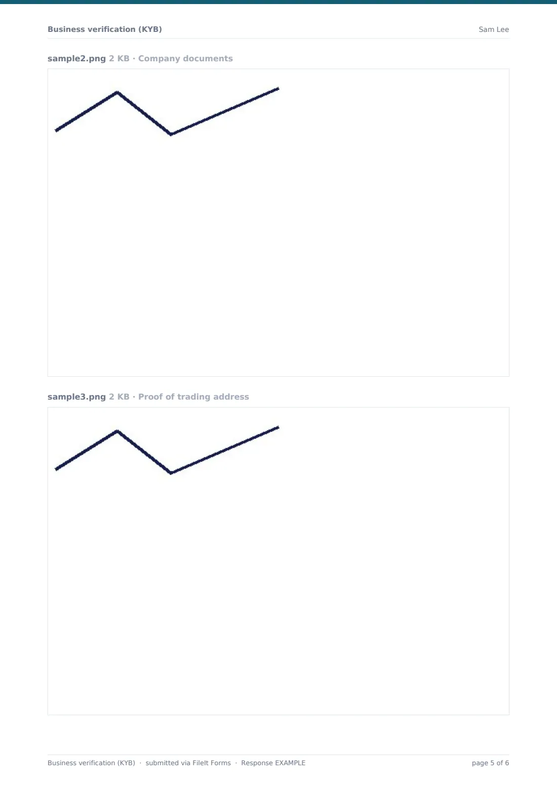 Business verification (KYB) — example response PDF, page 5 of 6