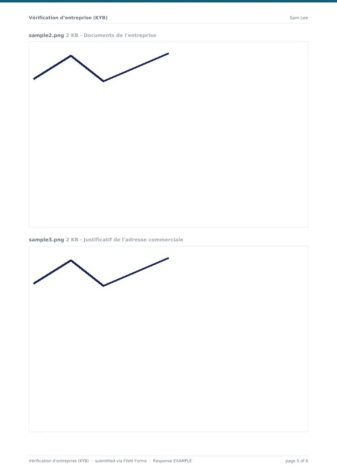 Vérification d’entreprise (KYB) — exemple de réponse au format PDF, page 5 sur 6