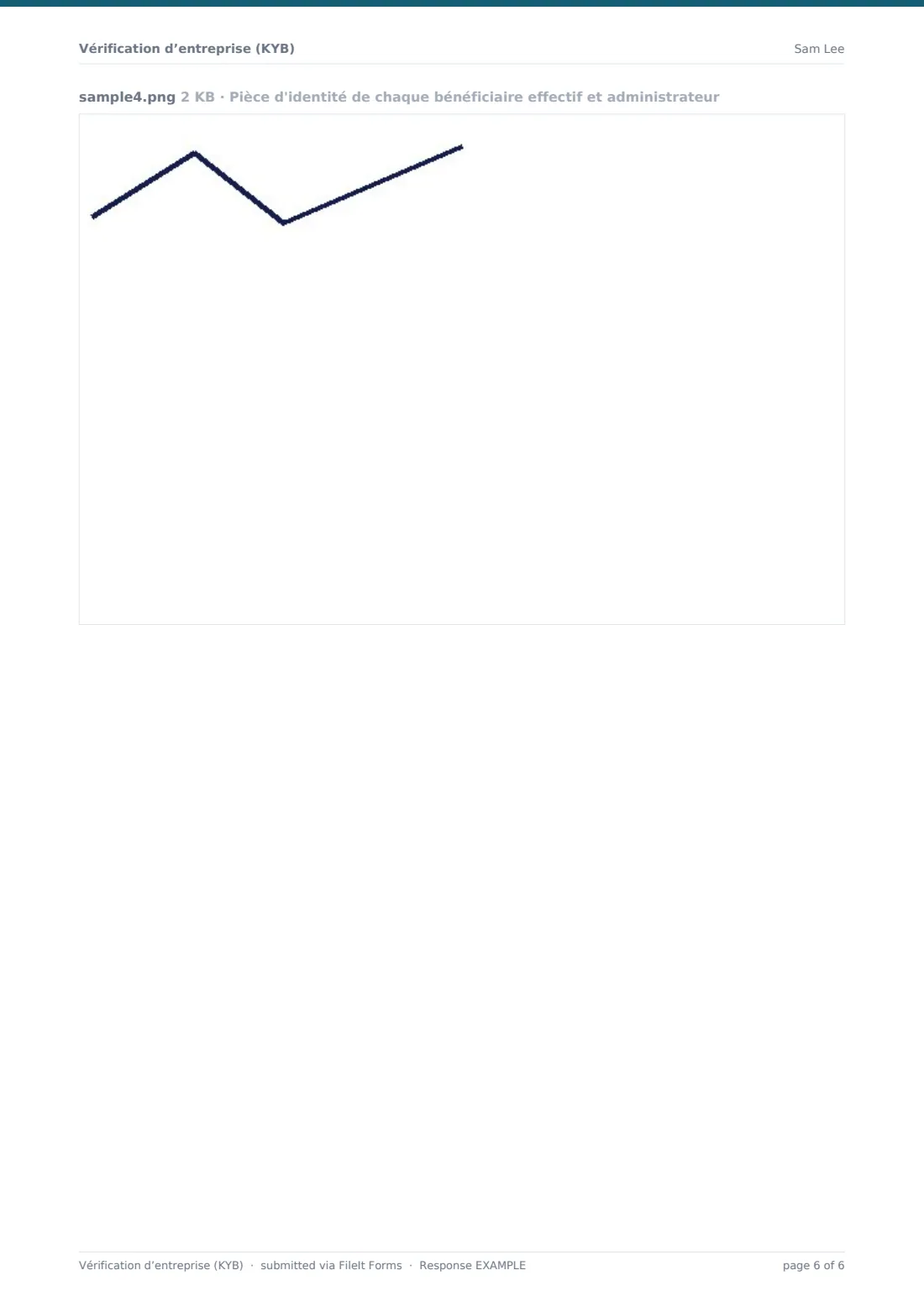 Vérification d’entreprise (KYB) — exemple de réponse au format PDF, page 6 sur 6