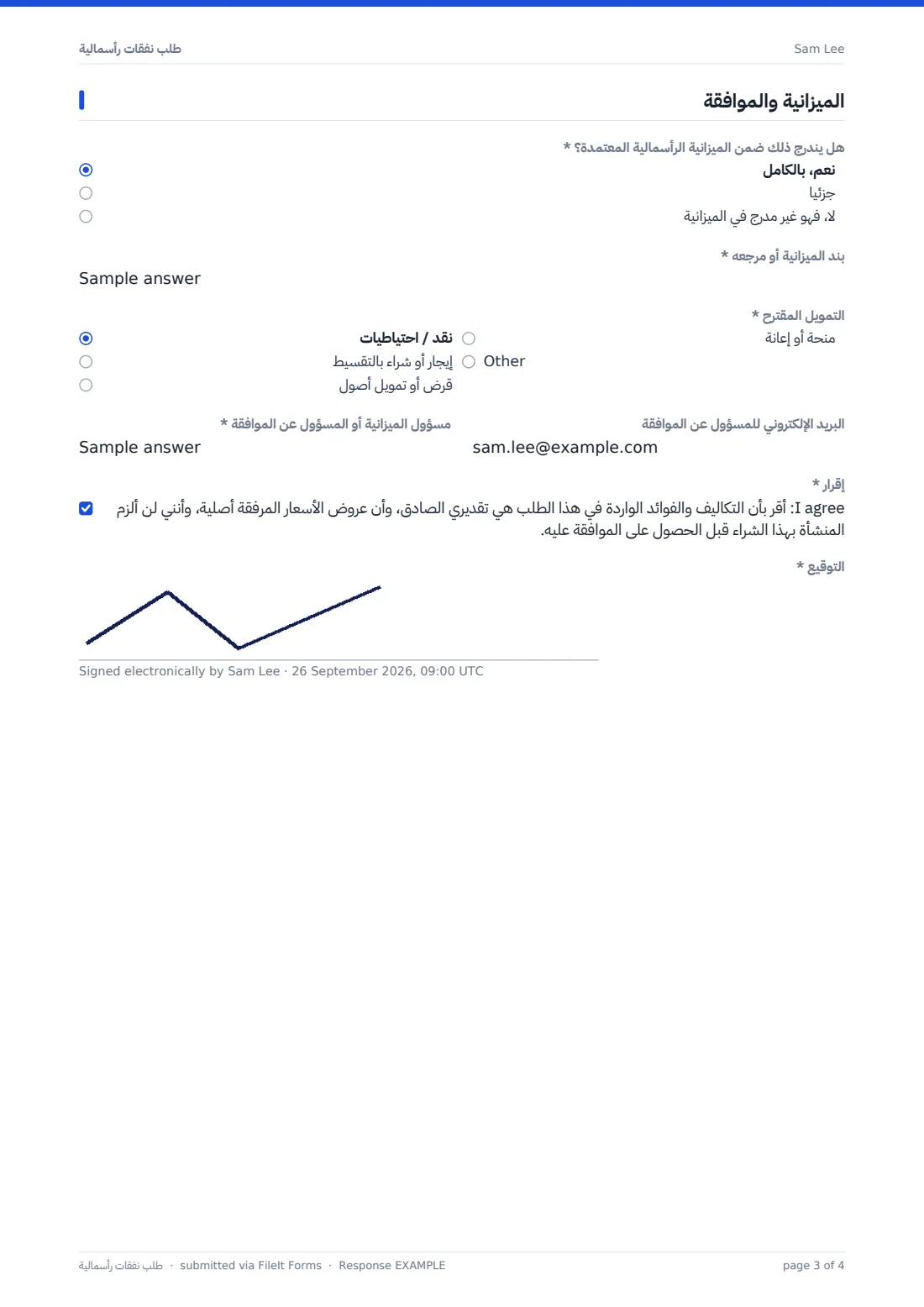 طلب نفقات رأسمالية — ملف PDF لرد نموذجي، الصفحة 3 من 4