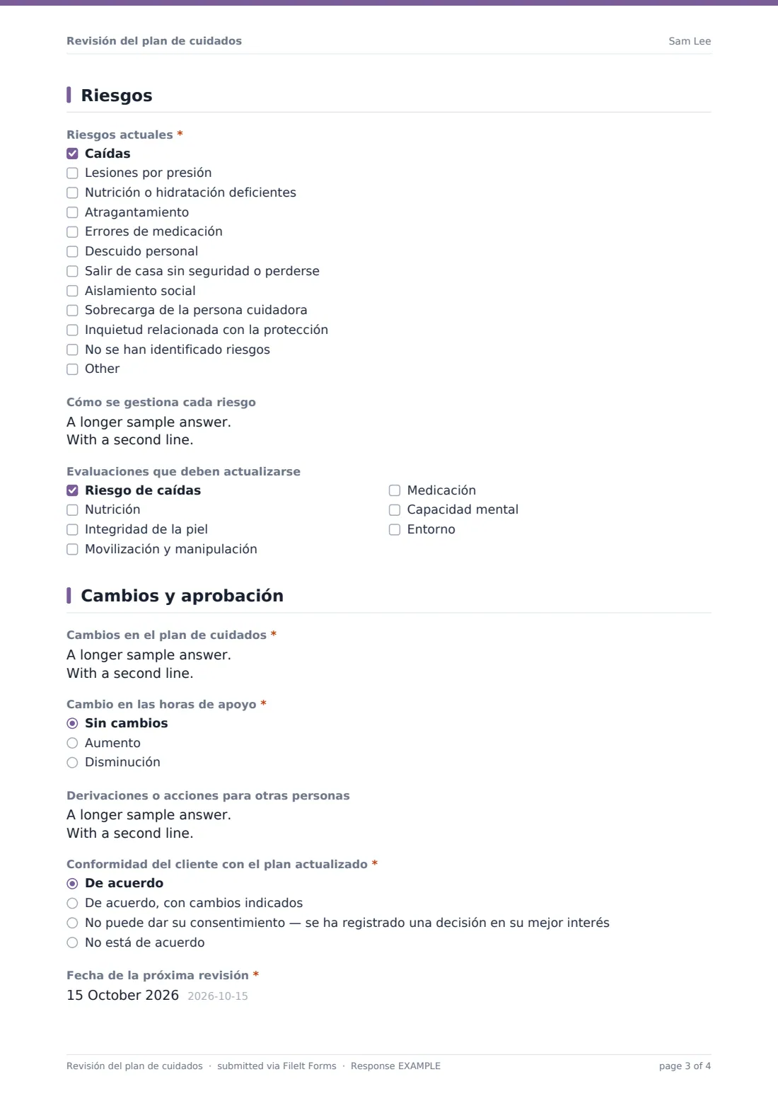 Revisión del plan de cuidados — PDF de respuesta de ejemplo, página 3 de 4