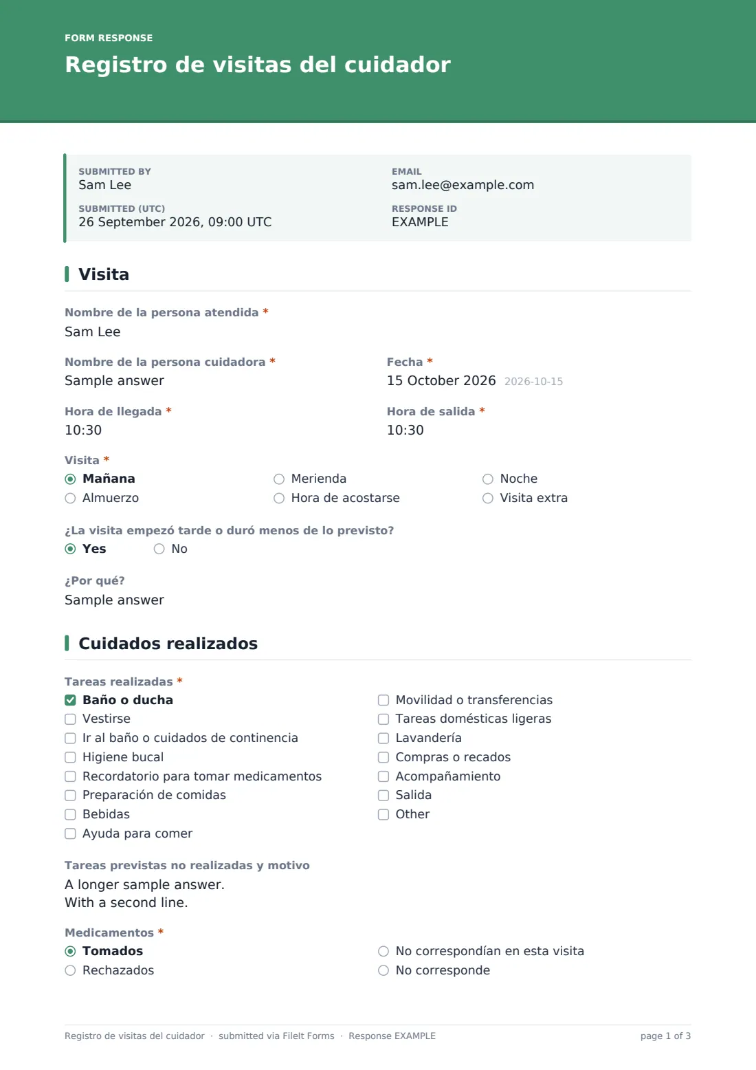 Registro de visitas del cuidador — PDF de respuesta de ejemplo, página 1 de 3