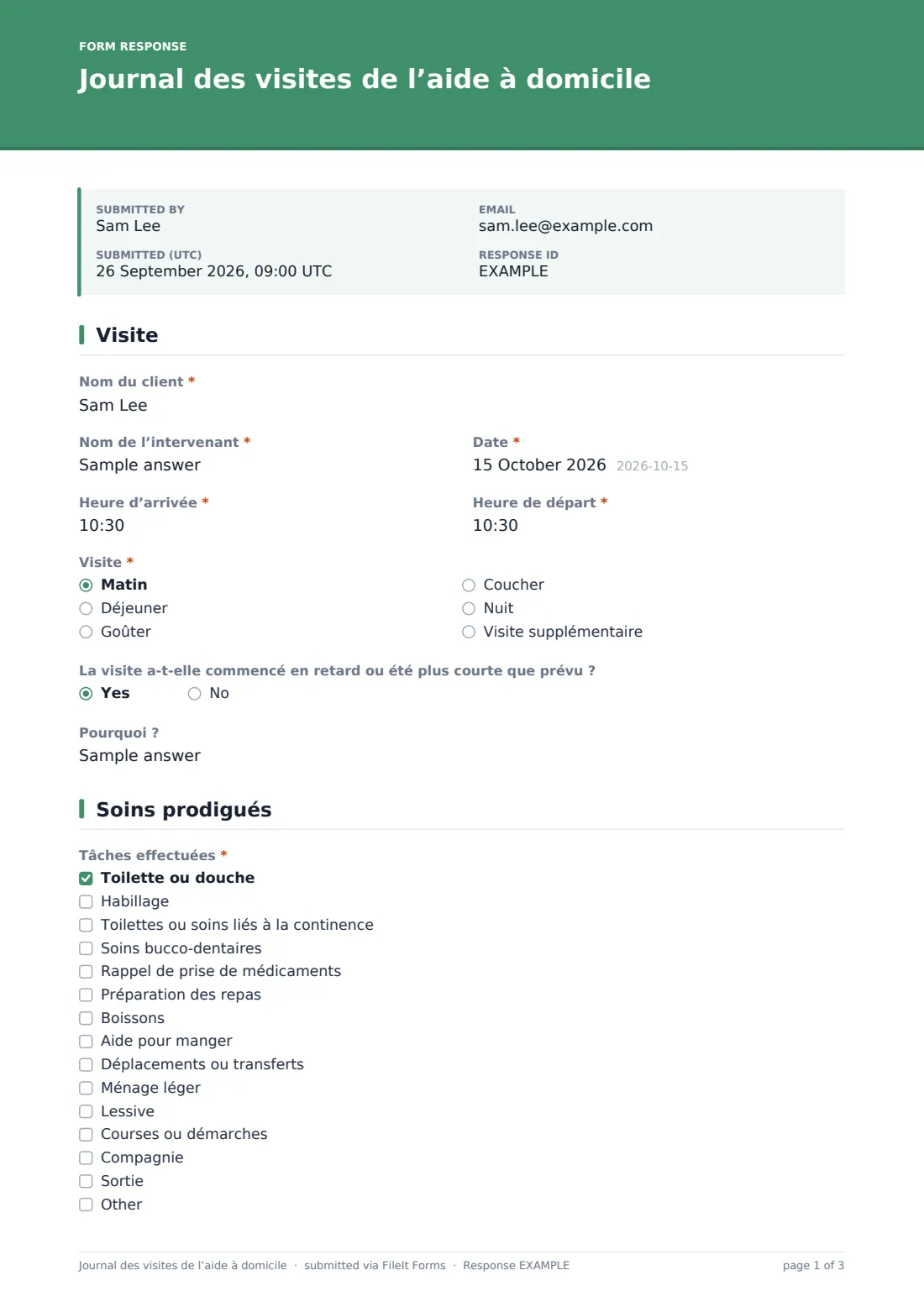Journal des visites de l’aide à domicile — exemple de réponse au format PDF, page 1 sur 3