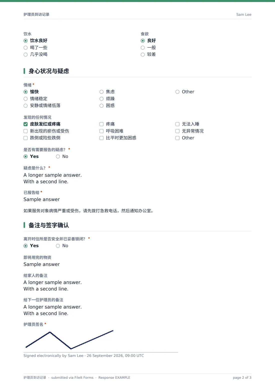 护理员到访记录 — 示例回复 PDF，第 2 页，共 3 页