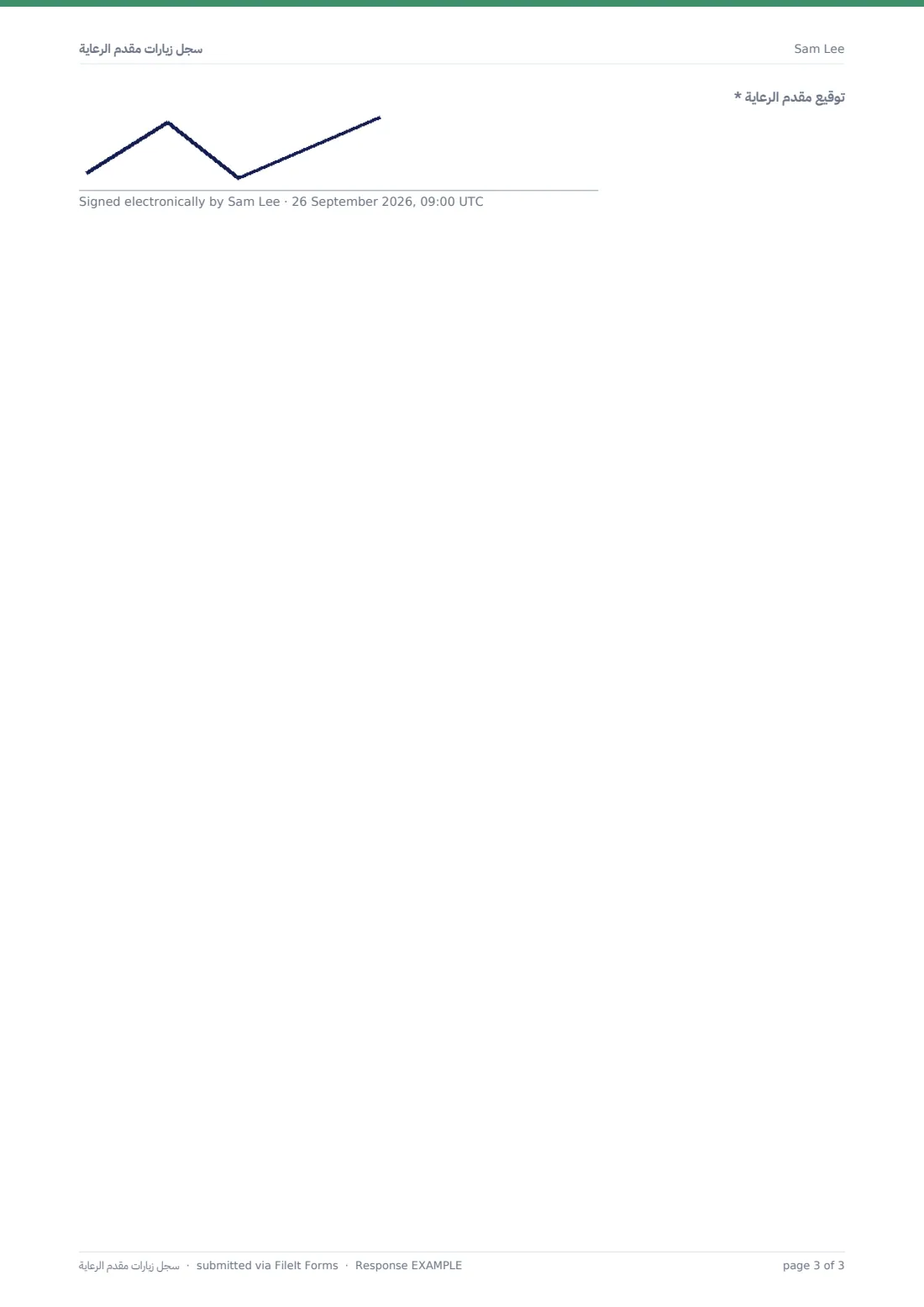 سجل زيارات مقدم الرعاية — ملف PDF لرد نموذجي، الصفحة 3 من 3