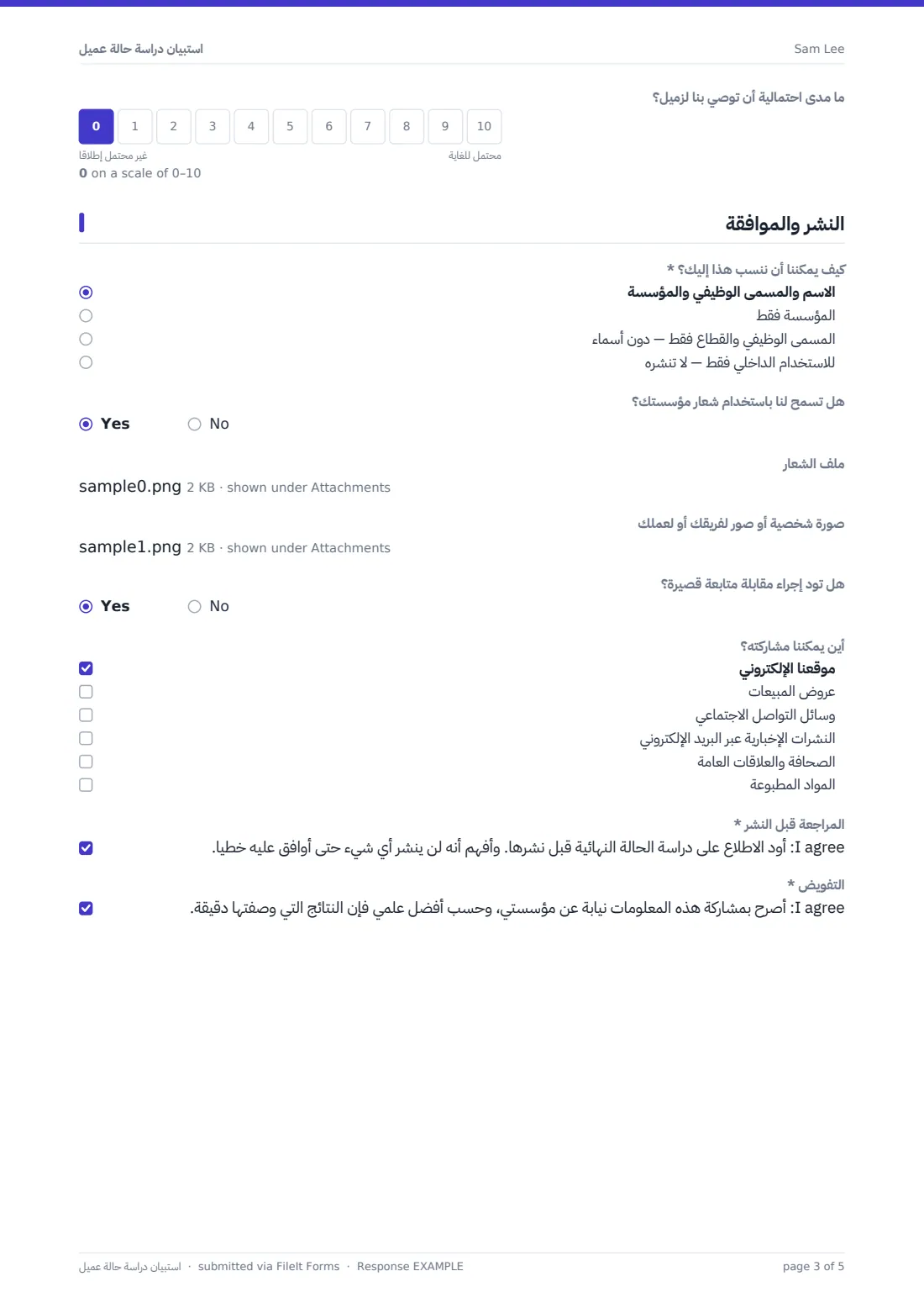 استبيان دراسة حالة عميل — ملف PDF لرد نموذجي، الصفحة 3 من 5