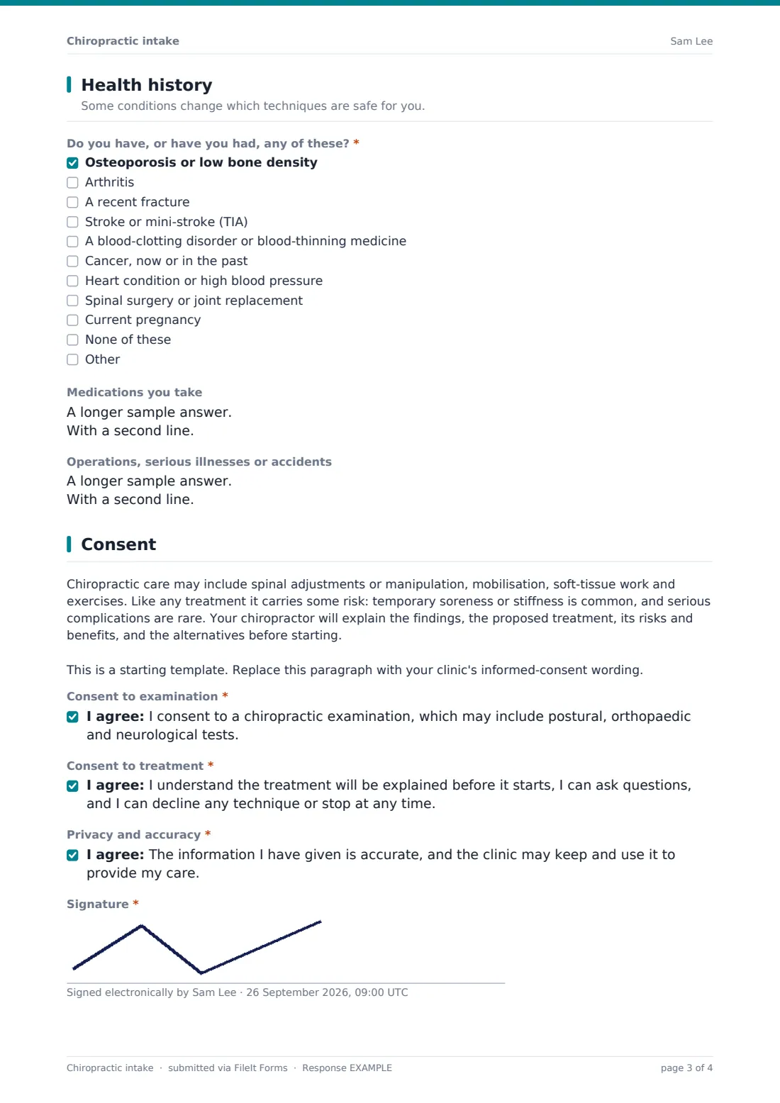 Chiropractic intake — example response PDF, page 3 of 4