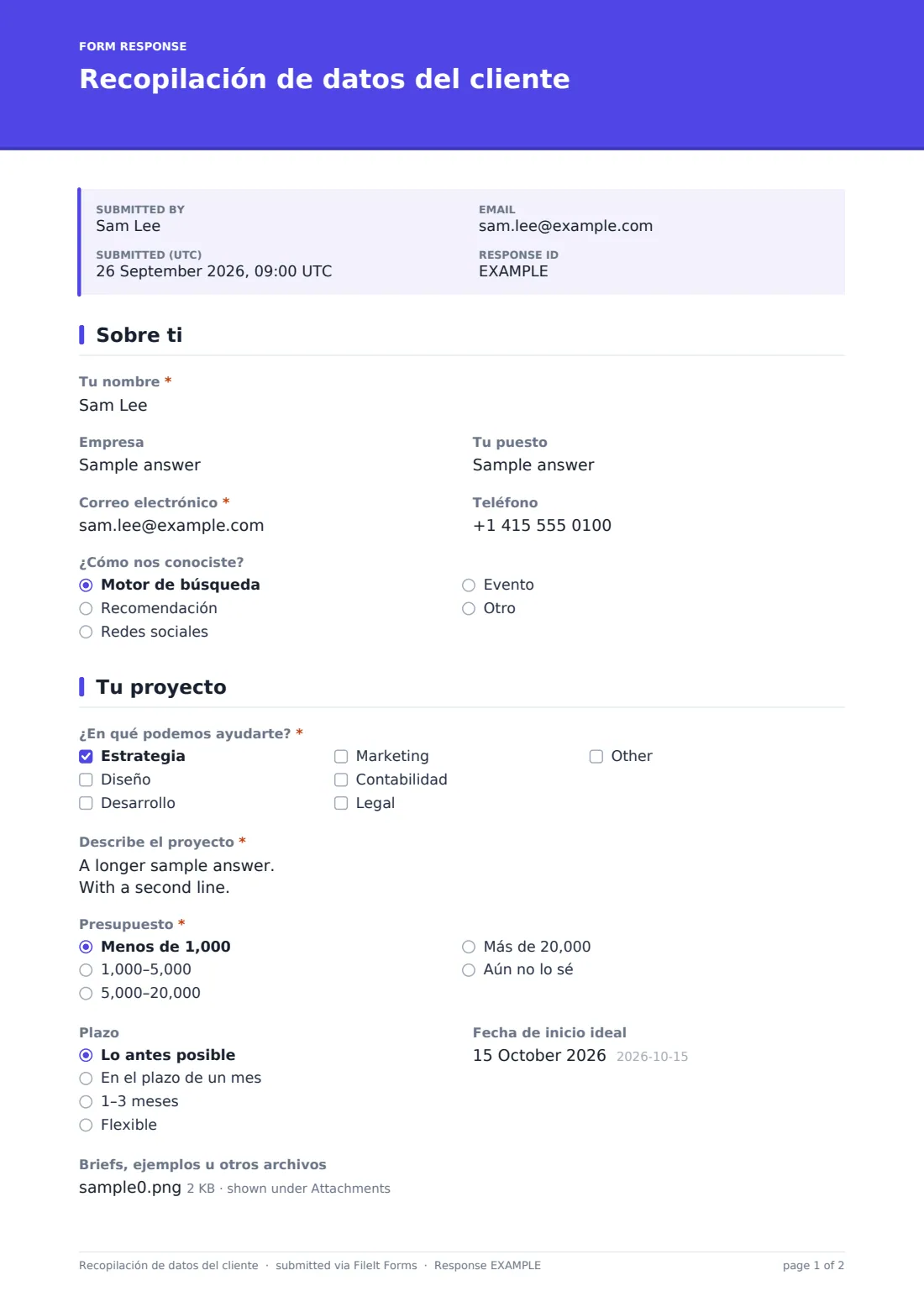 Recopilación de datos del cliente — PDF de respuesta de ejemplo, página 1 de 2