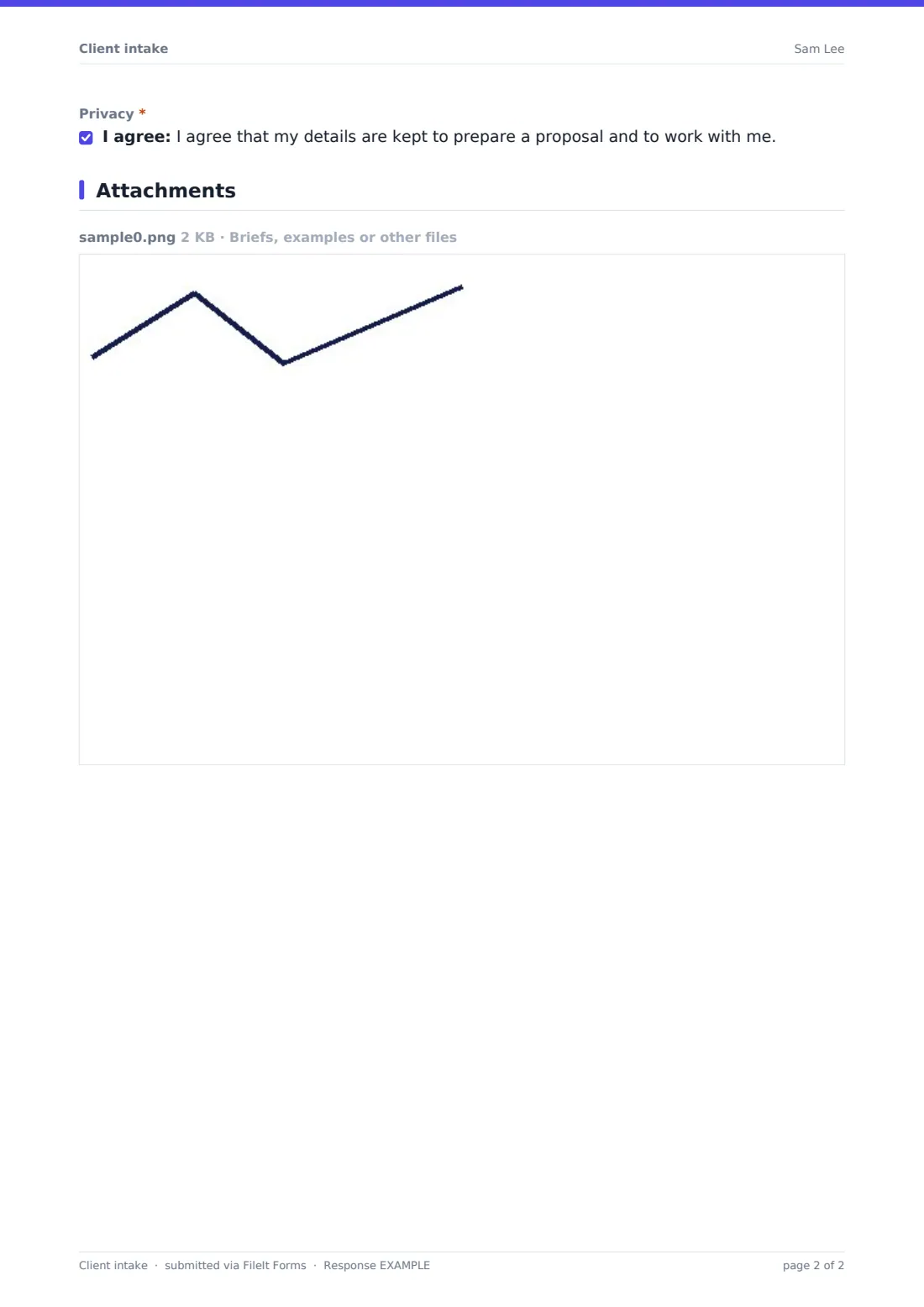 Client intake — example response PDF, page 2 of 2