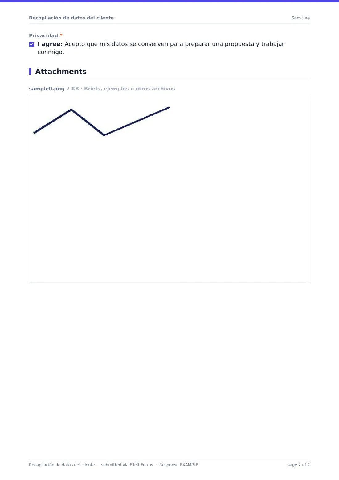 Recopilación de datos del cliente — PDF de respuesta de ejemplo, página 2 de 2