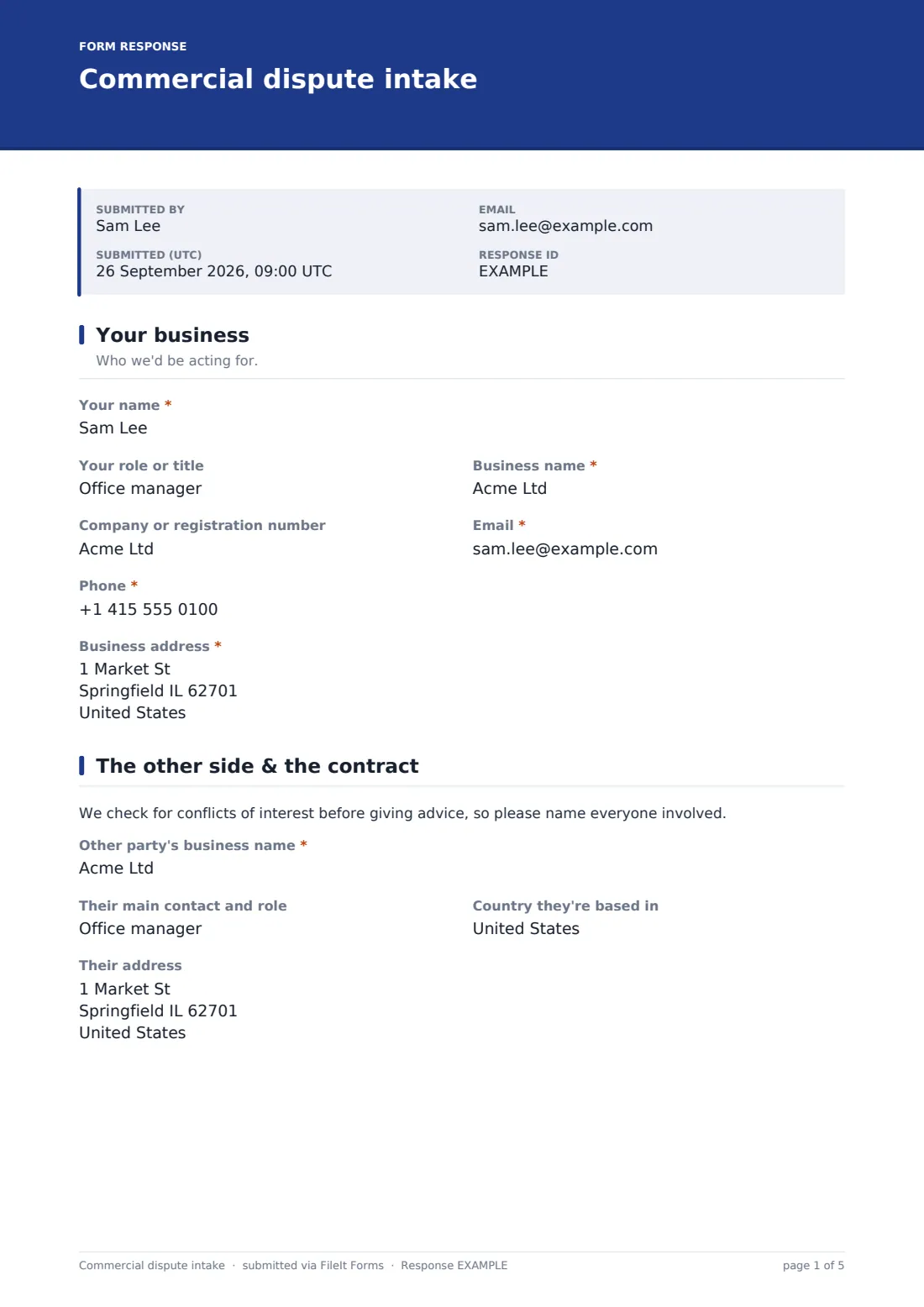 Commercial dispute intake — example response PDF, page 1 of 5