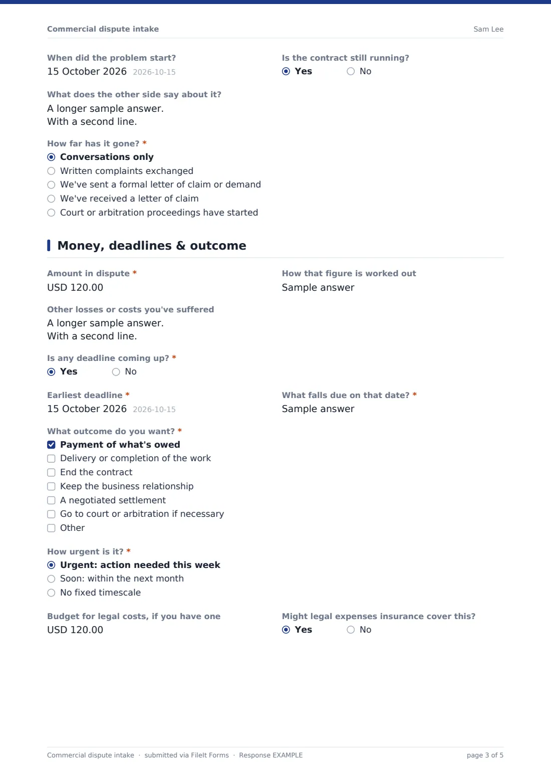 Commercial dispute intake — example response PDF, page 3 of 5