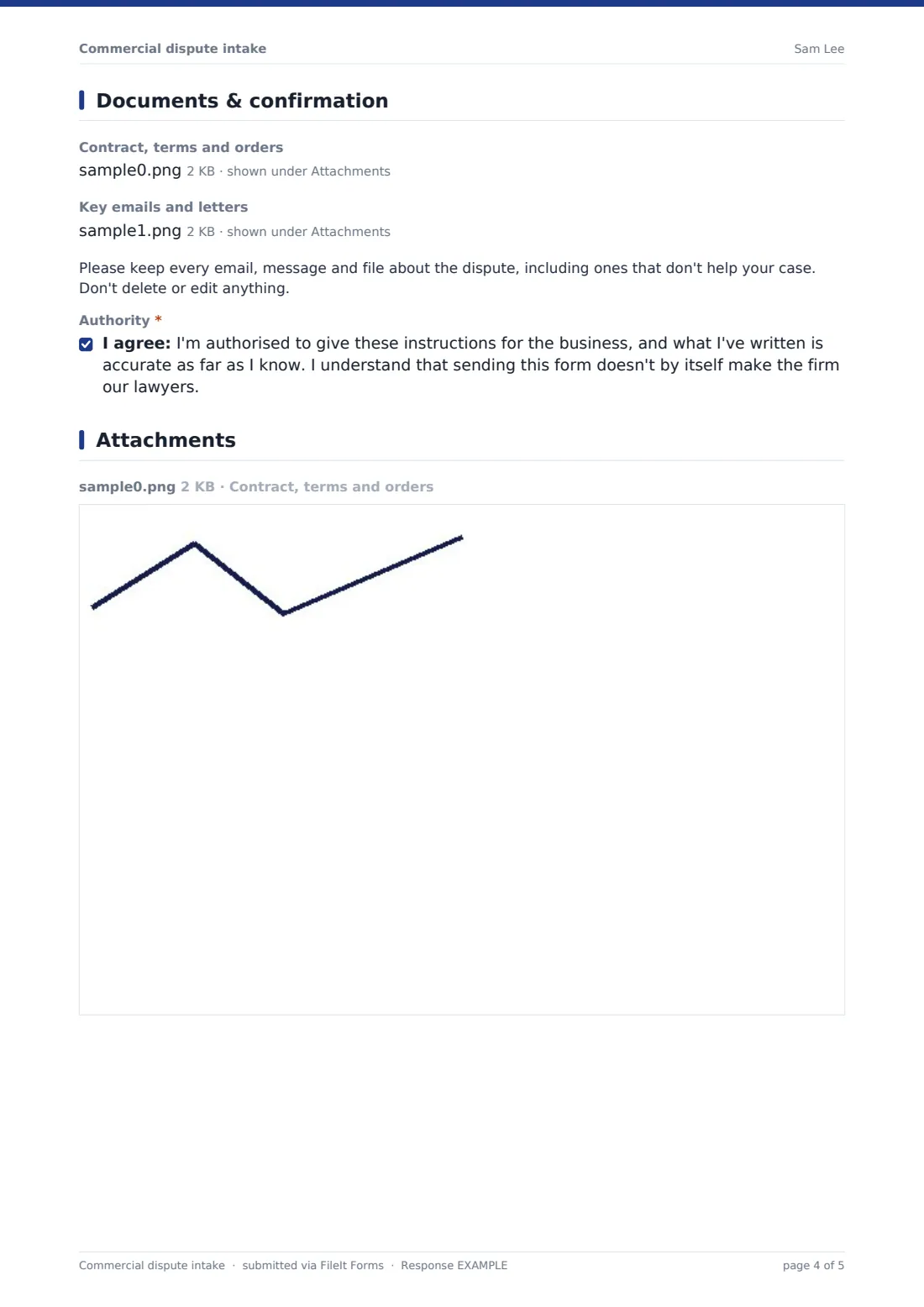 Commercial dispute intake — example response PDF, page 4 of 5