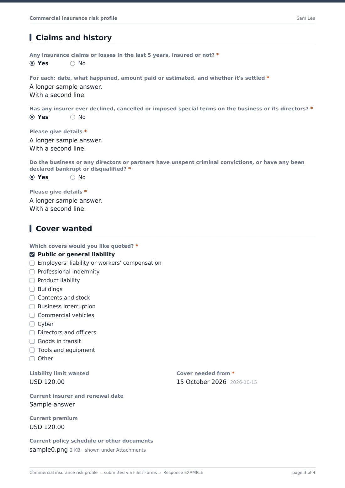 Commercial insurance risk profile — example response PDF, page 3 of 4
