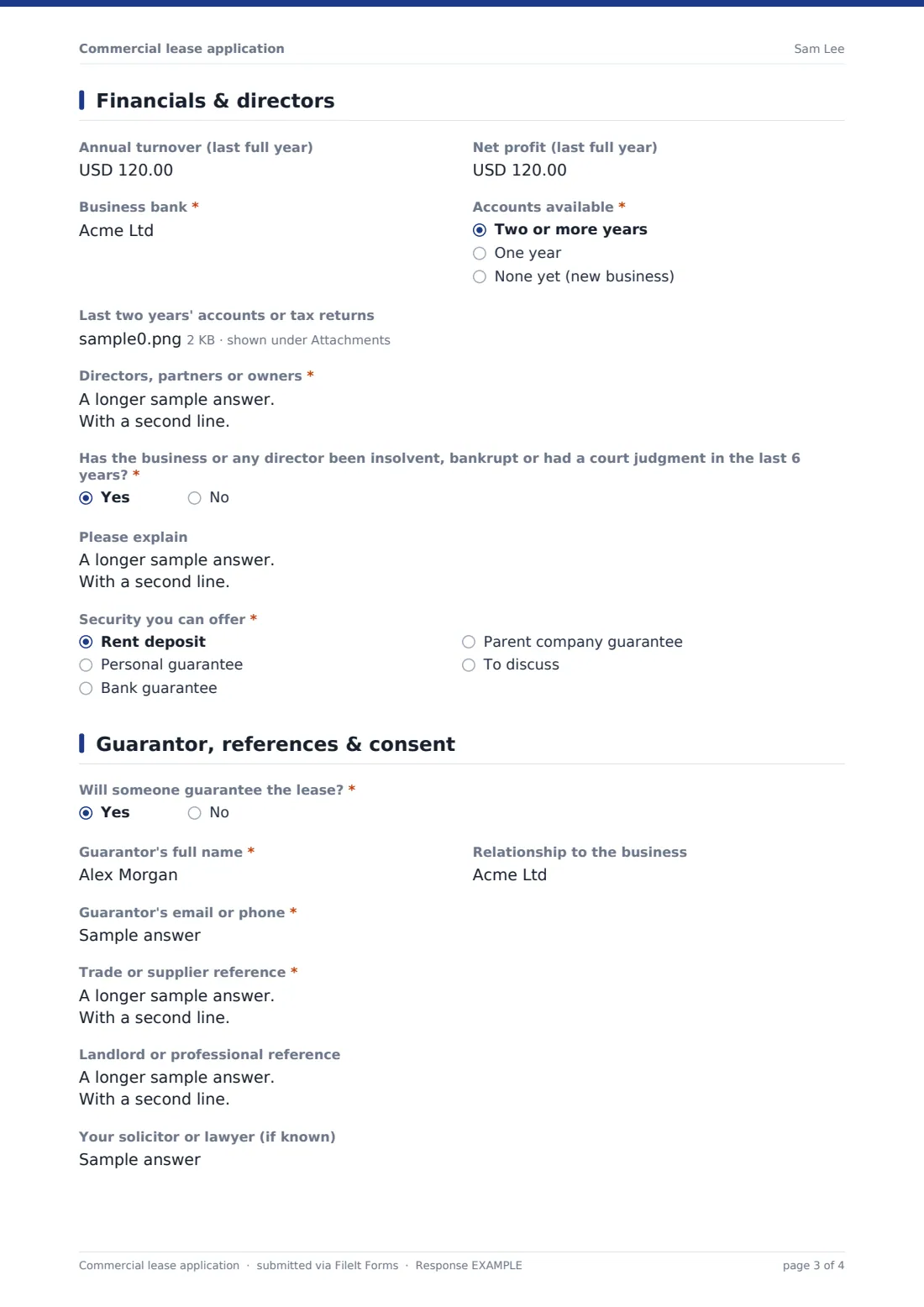 Commercial lease application — example response PDF, page 3 of 4