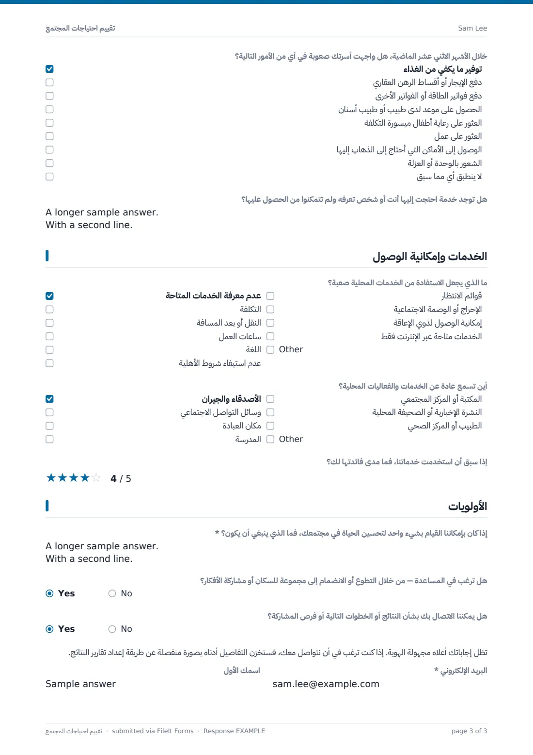 تقييم احتياجات المجتمع — ملف PDF لرد نموذجي، الصفحة 3 من 3