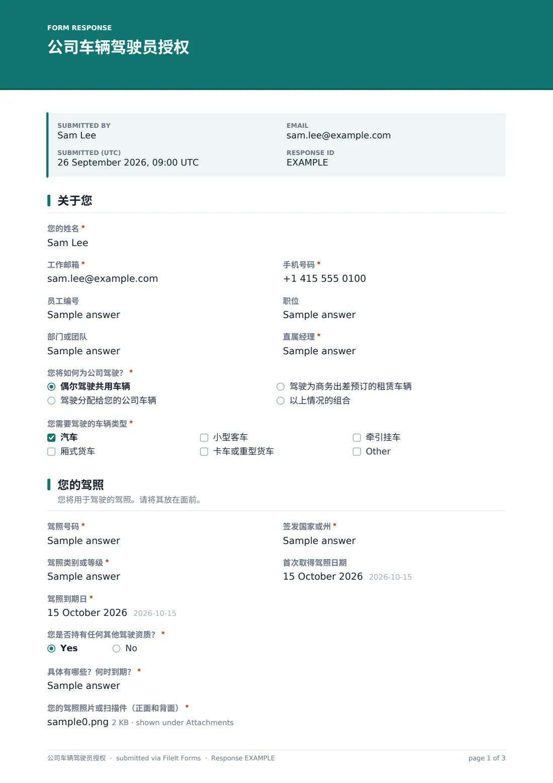 公司车辆驾驶员授权 — 示例回复 PDF，第 1 页，共 3 页