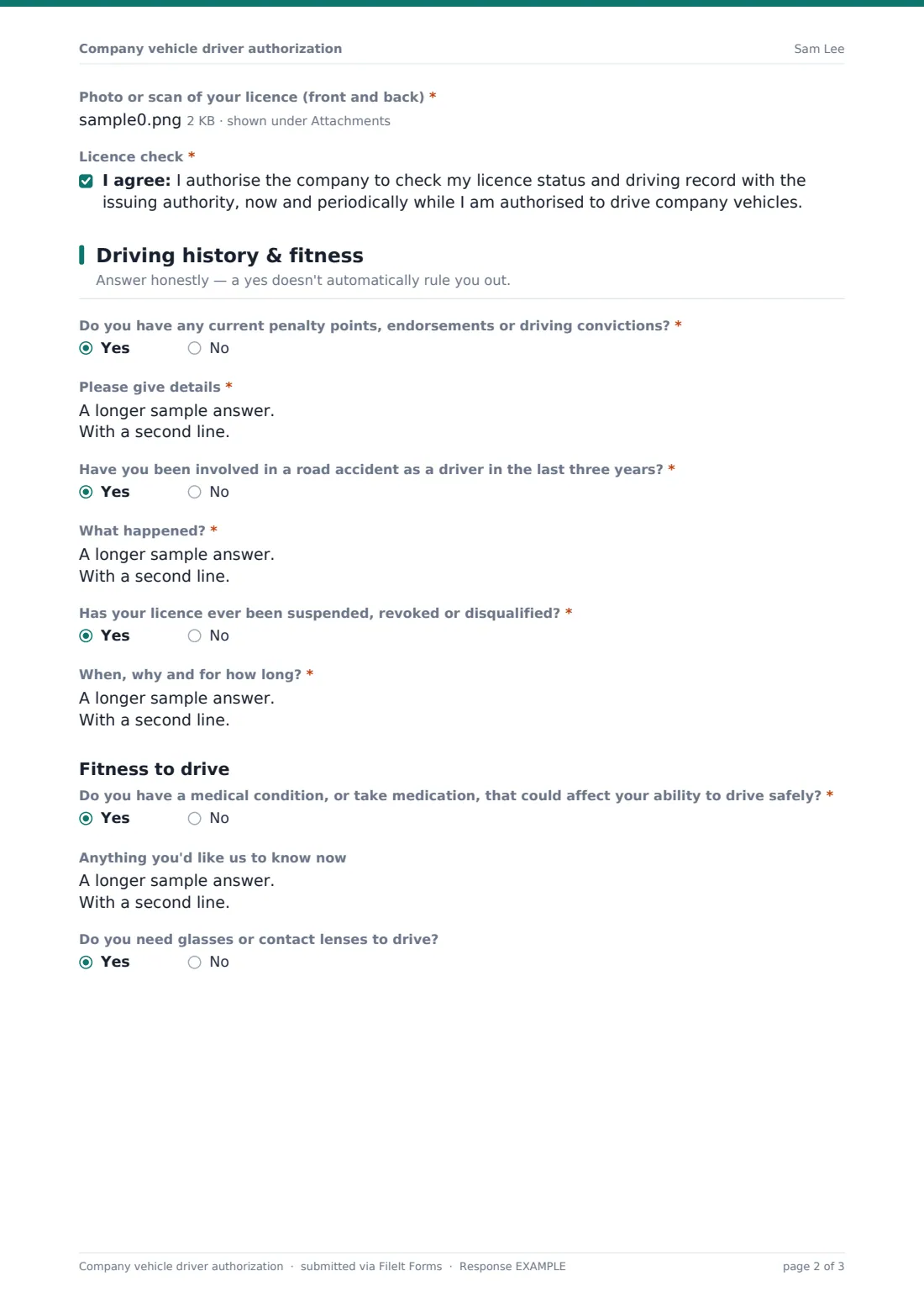 Company vehicle driver authorization — example response PDF, page 2 of 3
