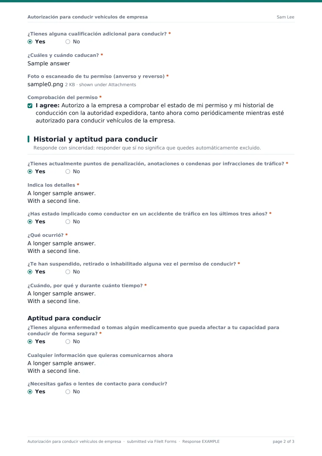 Autorización para conducir vehículos de empresa — PDF de respuesta de ejemplo, página 2 de 3