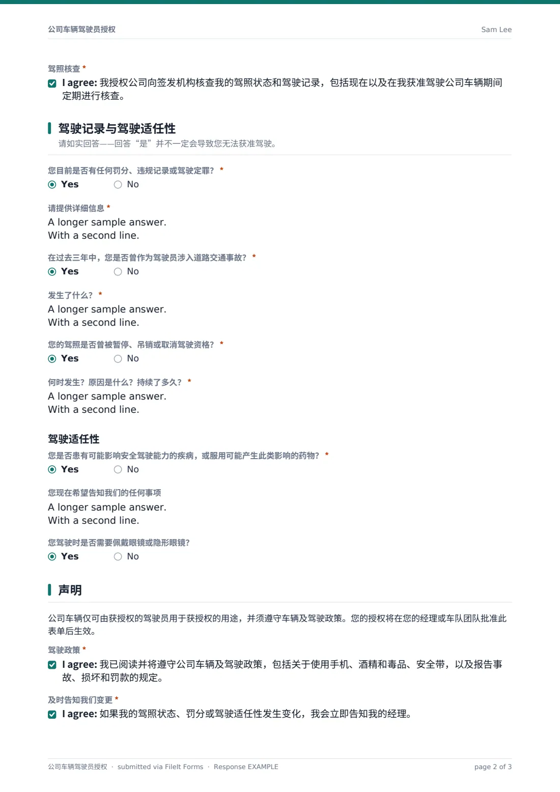 公司车辆驾驶员授权 — 示例回复 PDF，第 2 页，共 3 页