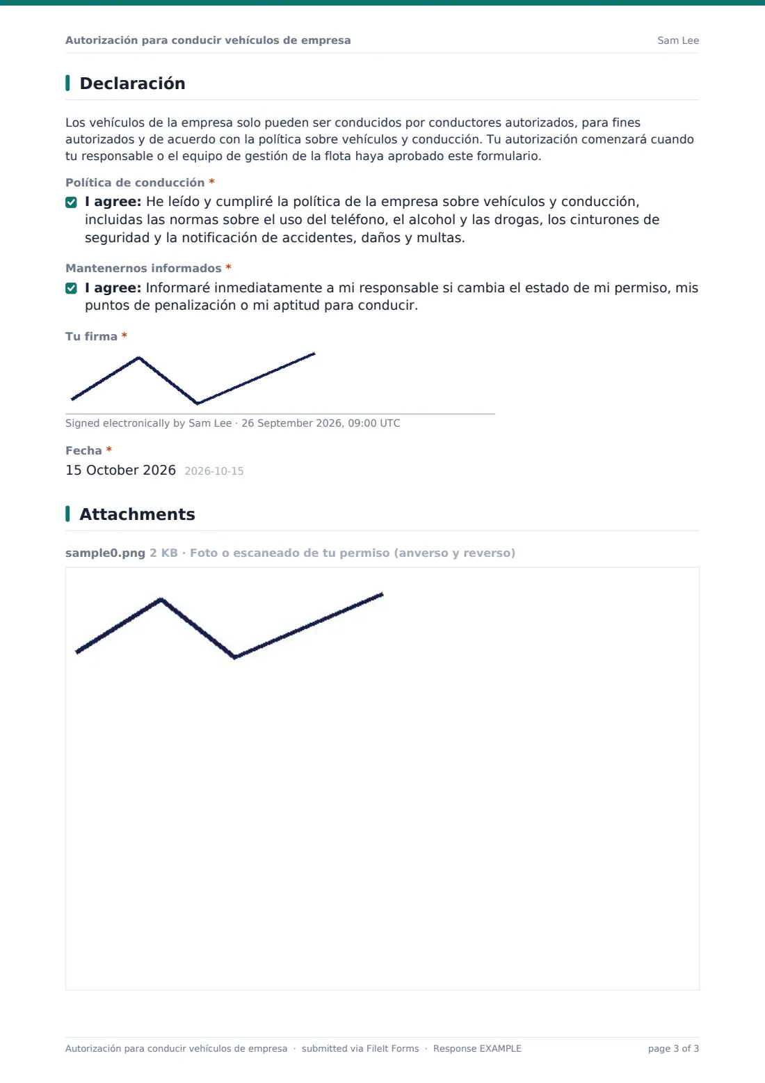Autorización para conducir vehículos de empresa — PDF de respuesta de ejemplo, página 3 de 3
