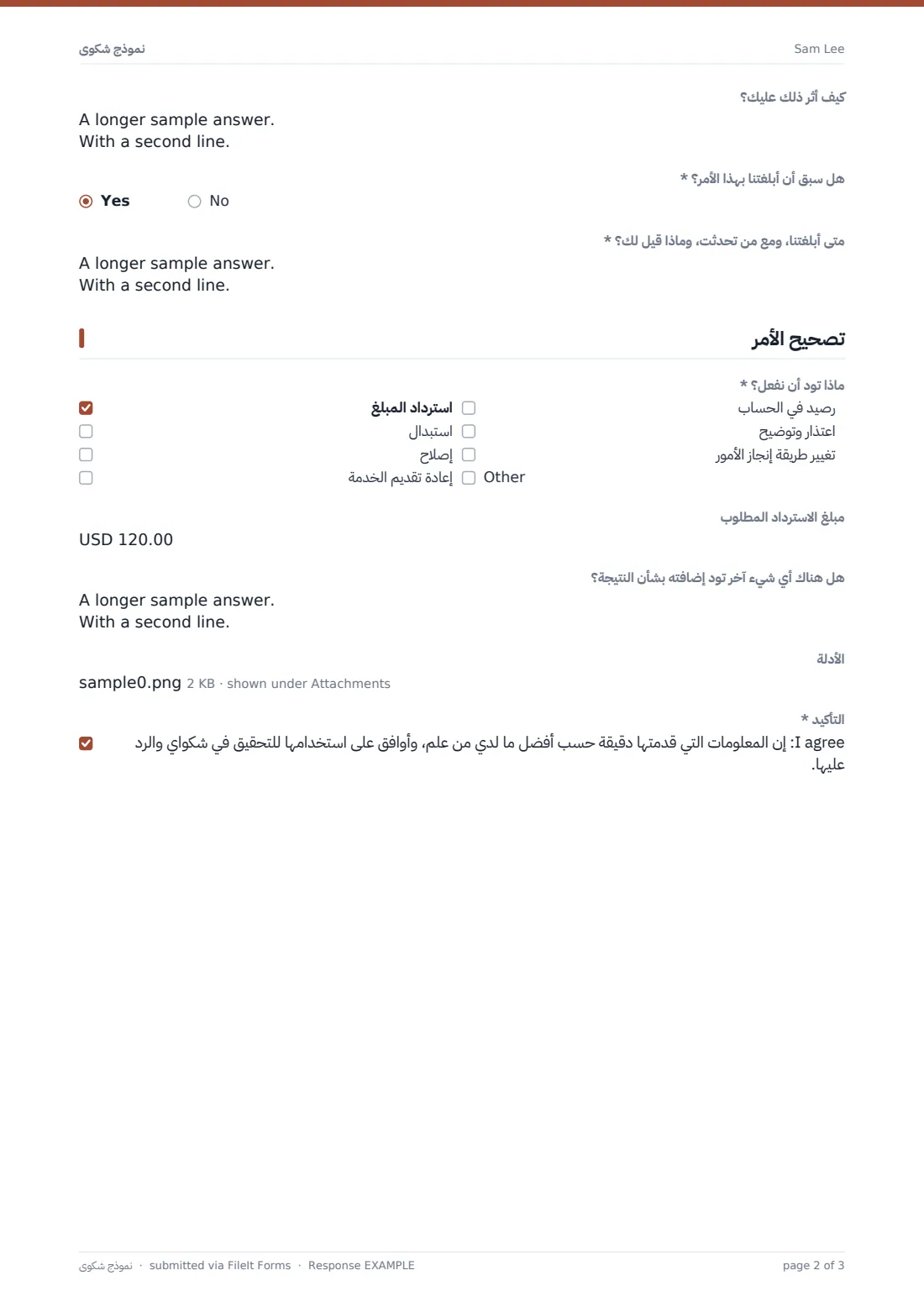 نموذج شكوى — ملف PDF لرد نموذجي، الصفحة 2 من 3