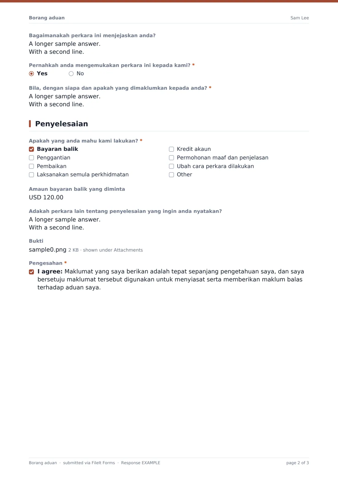 Borang aduan — PDF respons contoh, halaman 2 daripada 3