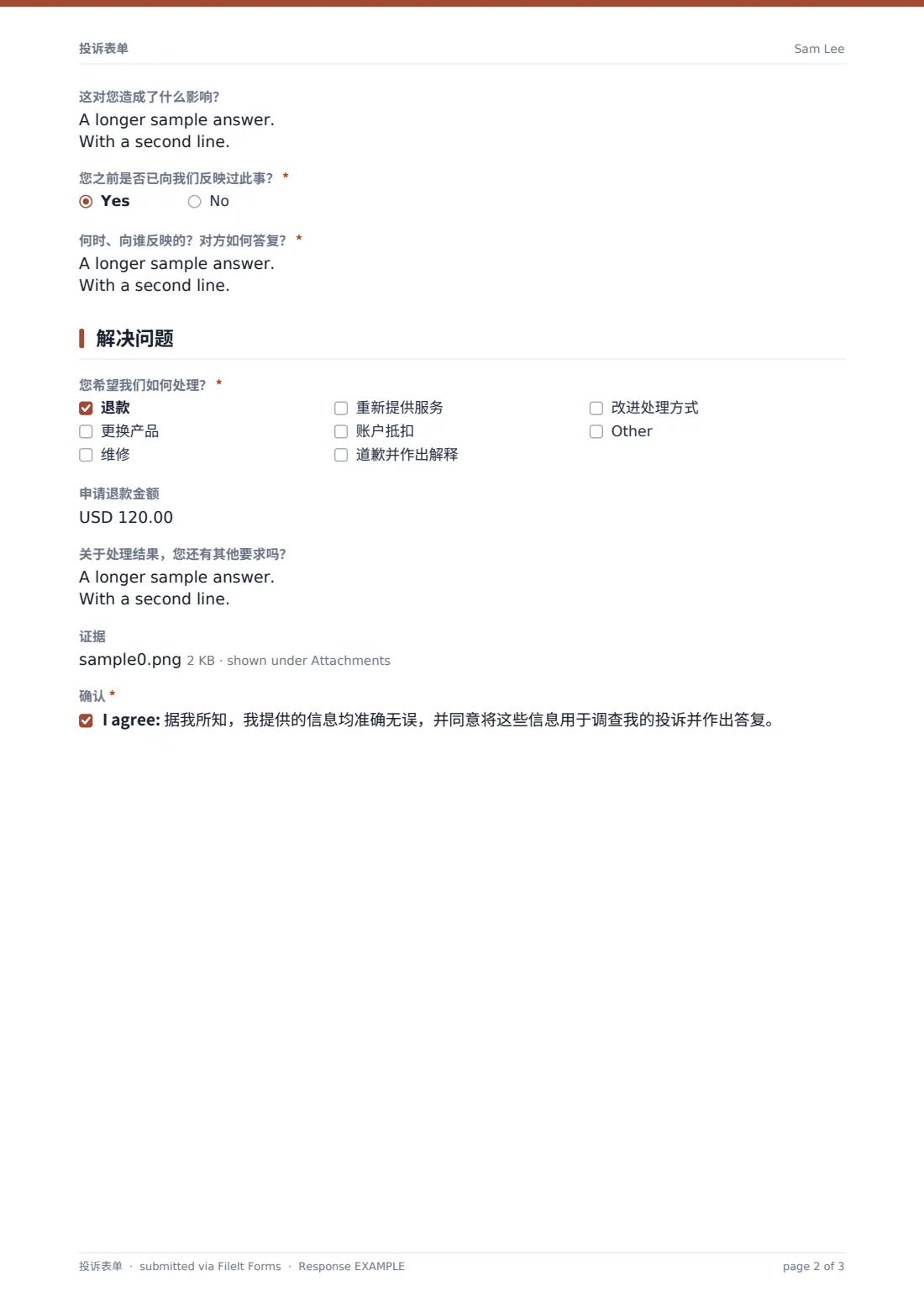 投诉表单 — 示例回复 PDF，第 2 页，共 3 页