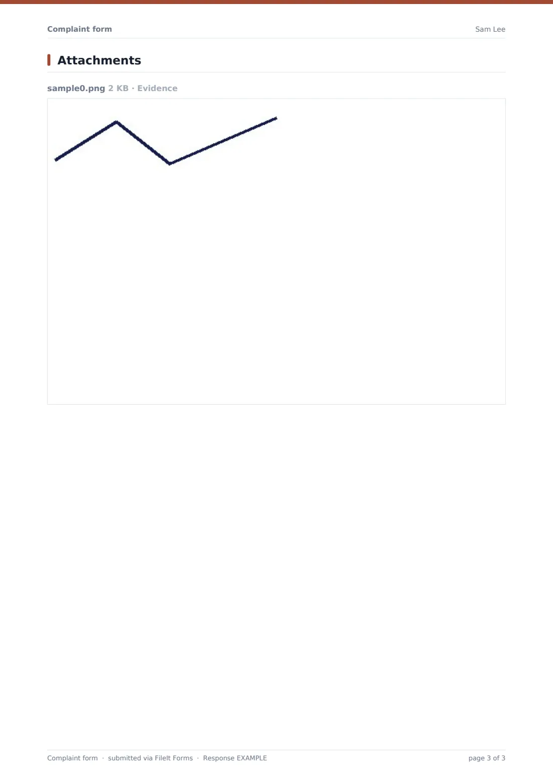 Complaint form — example response PDF, page 3 of 3