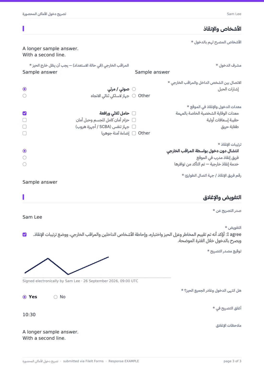 تصريح دخول الأماكن المحصورة — ملف PDF لرد نموذجي، الصفحة 3 من 3