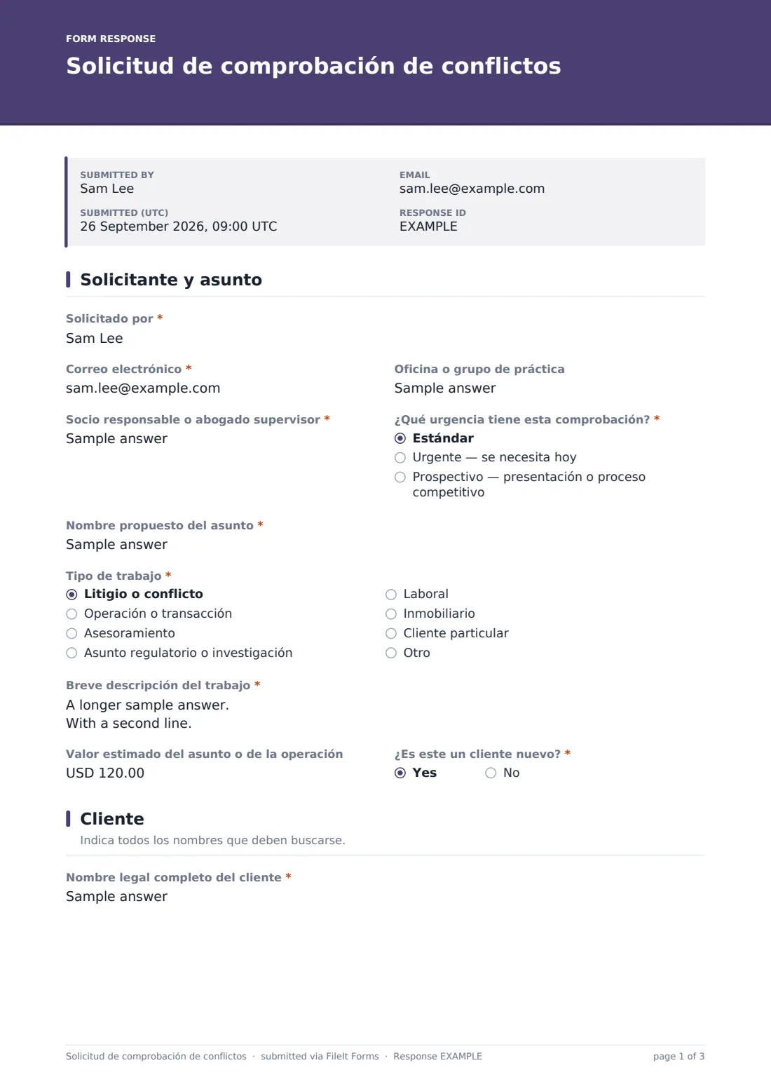 Solicitud de comprobación de conflictos — PDF de respuesta de ejemplo, página 1 de 3