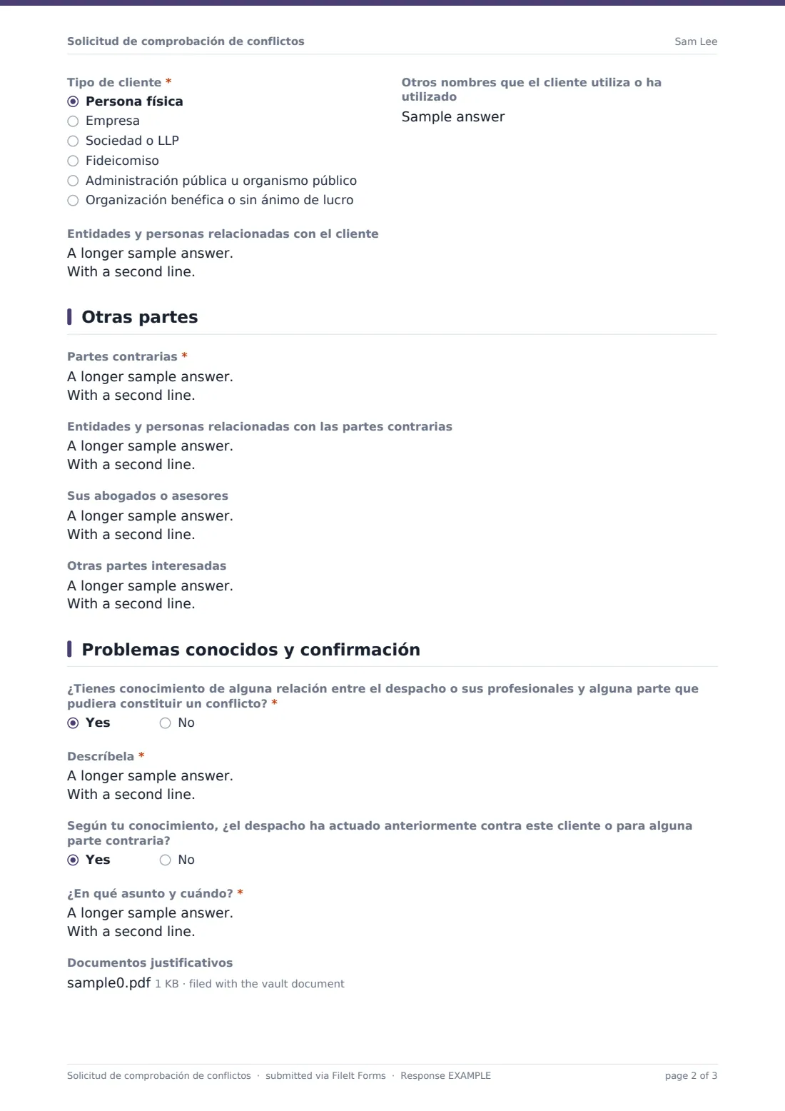 Solicitud de comprobación de conflictos — PDF de respuesta de ejemplo, página 2 de 3