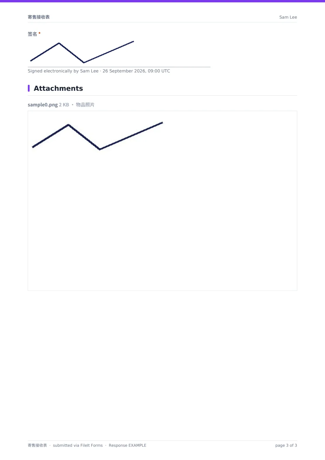 寄售接收表 — 示例回复 PDF，第 3 页，共 3 页
