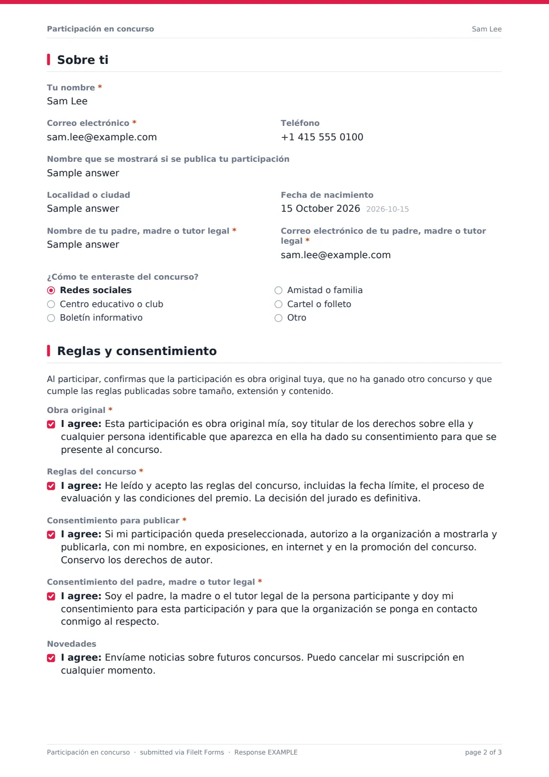 Participación en concurso — PDF de respuesta de ejemplo, página 2 de 3