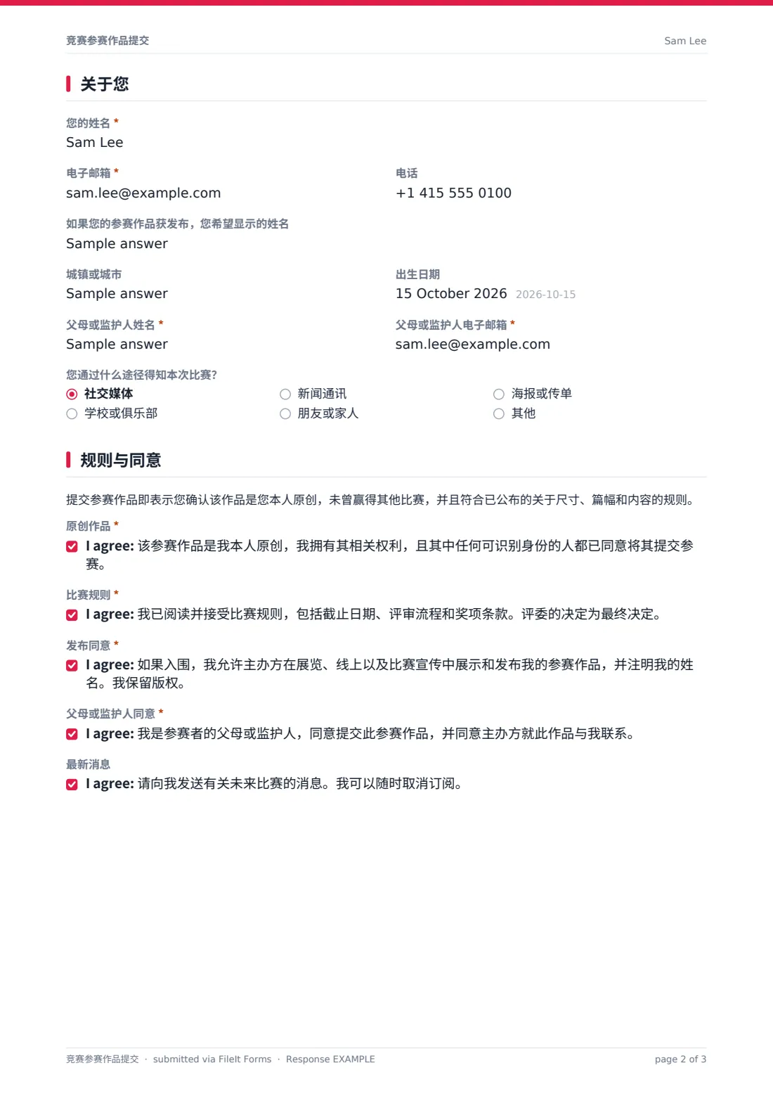 竞赛参赛作品提交 — 示例回复 PDF，第 2 页，共 3 页