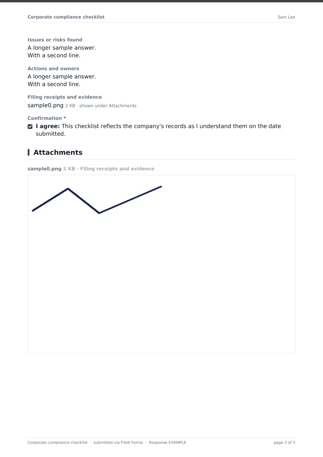 Corporate compliance checklist — example response PDF, page 3 of 3