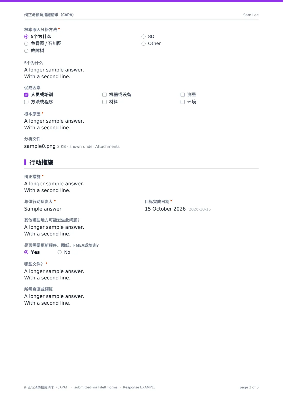 纠正与预防措施请求（CAPA） — 示例回复 PDF，第 2 页，共 5 页