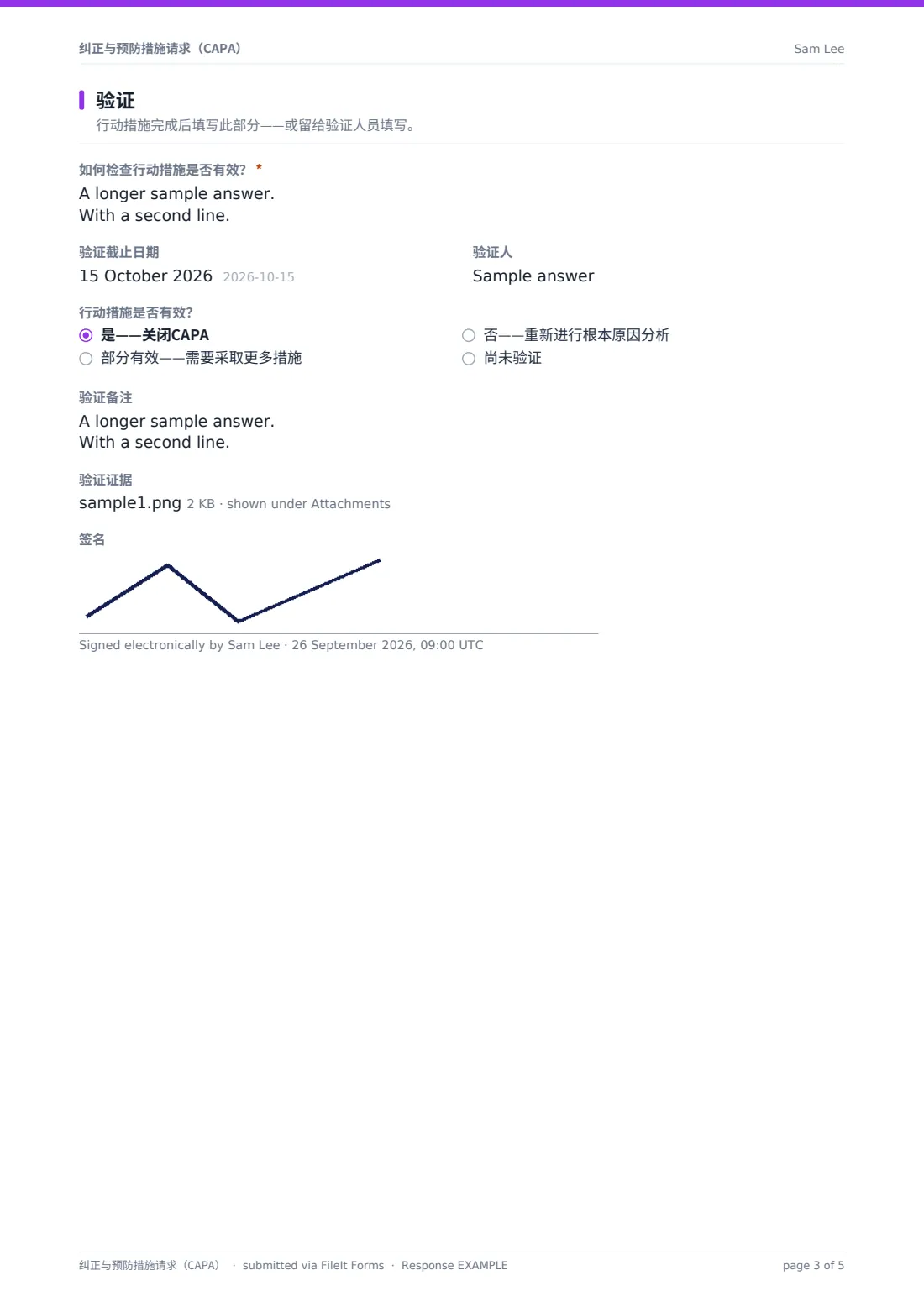 纠正与预防措施请求（CAPA） — 示例回复 PDF，第 3 页，共 5 页