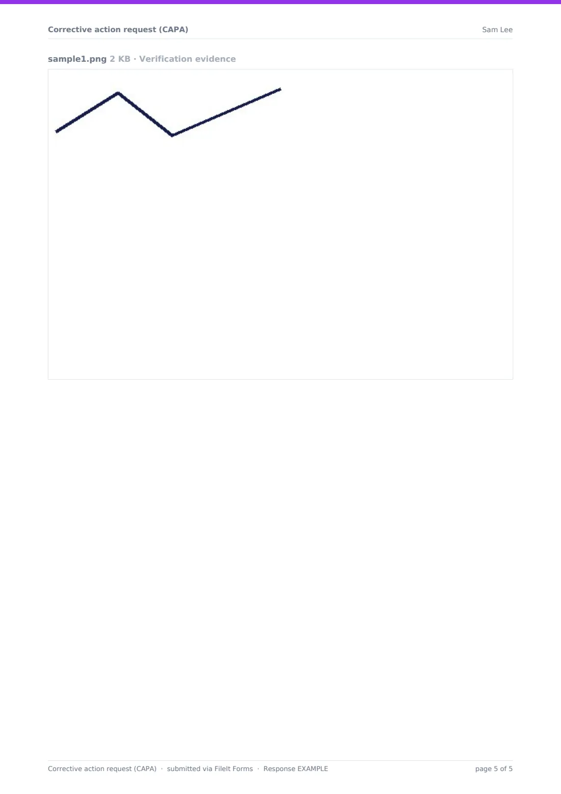 Corrective action request (CAPA) — example response PDF, page 5 of 5