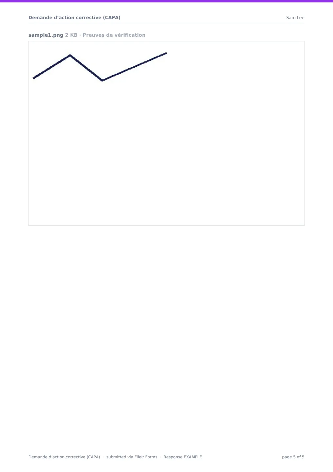 Demande d’action corrective (CAPA) — exemple de réponse au format PDF, page 5 sur 5