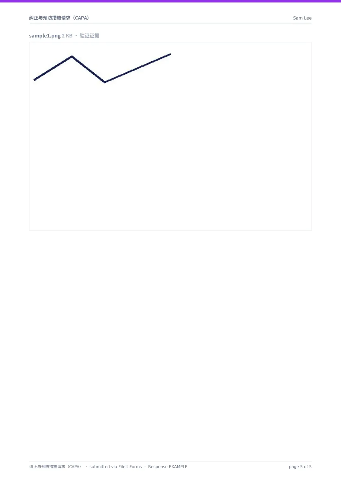 纠正与预防措施请求（CAPA） — 示例回复 PDF，第 5 页，共 5 页